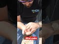 Smallest snake species in the world found on an electrical job site!