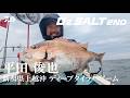 【DzSALT 2ND】平田俊也×新潟県上越沖 ディープタイラバ 特別編集編