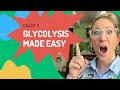 Understanding Cellular Respiration