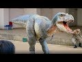 【1日限定】DINO-A-LIVE航空記念公園／野外ステージ 13時40分～