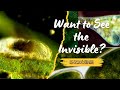 Dare to Step onto the Bottomlessness Pit of the Invisible World? Take a Deep Dive!