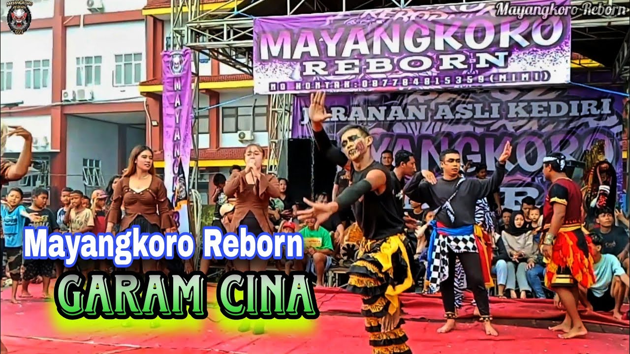 Garam Cina‼️ Mayangkoro Reborn 