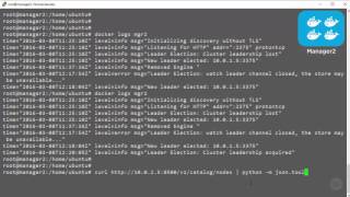 Native Docker Clustering - Checking Your Work