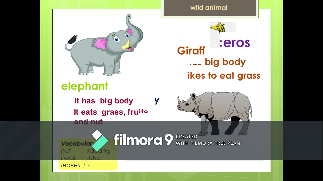 Pelajaran Bahasa Inggris kelas 2 SD tentang Wild Animals - YouTube