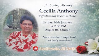 In Loving Memory of Cecilia Anthony AKA Sora