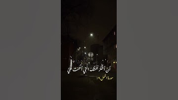 سورة النمل 19 "فَتَبَسَّمَ ضَاحِكًا مِنْ قَوْلِهَا"
