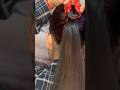 Beautiful Bun Hairstyle #beautifulbun #hairstyle #bunhairstyle #beautifulhairstyle #shorts