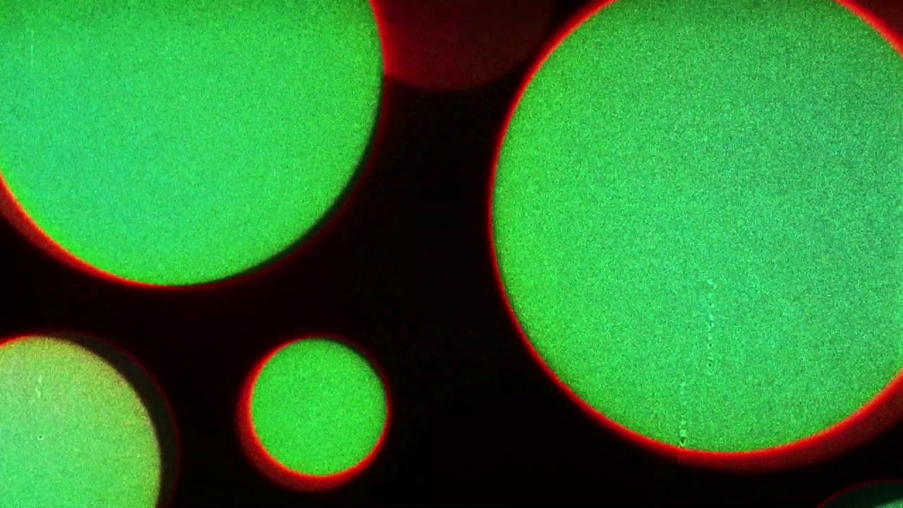 The Shelters - Bad Dreams [Official Visualizer] - YouTube