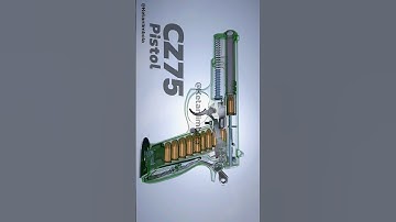 If you are a CZ75 owner, you should watch this video