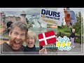 Djurs sommerland - Vlog 6