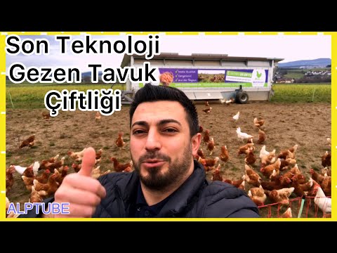 (TAVUKÇULAR KESİN İZLESİN) Son TEKNOLOJİ GEZEN TAVUK ÇİFTLİĞİ