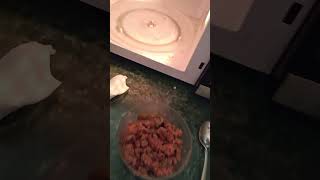 MICRO KOOK VEGETERIAN FENNEL CREAM ANGEL HAIR PASTA (VIDEO 2)✝️✝️
