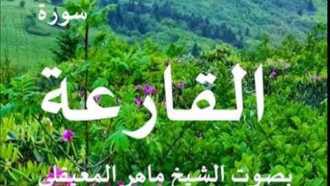 سورة القارعة بصوت الشيخ / مهر المعيقلي 101