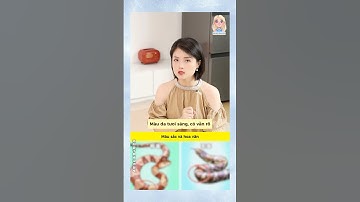 Phân loại rắn độc 🐍 #douyin #shorts #tips
