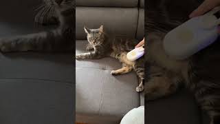 High-quality products designed for your cat’s well-being and your everyday comfort.