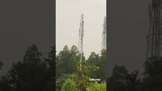 This video makes you happy Relaxing video | rainy season started 😇#plants #nature #shorts