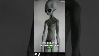 Compton Alien: Shocking Ring Doorbell UFO Footage! Net Worth