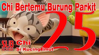 Serial Kartun Binatang ll Chi si kucing imut episode 25 - Chi Bertemu burung Parkit