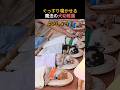 ぐっすり寝かせる魔法の犬幼稚園