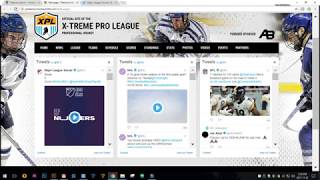 Twitter Widget