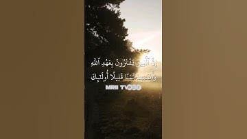 ماهر المعيقلي - سورة آل عمران ( برواية حفص عن عاصم ) الأية 77