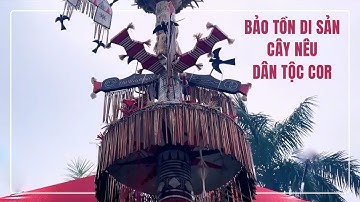 Bảo tồn di sản cây nêu dân tộc Cor | VĂN HÓA TÂY NGUYÊN | VTV5