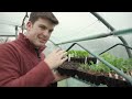 🔴 Gardeners'World 2022 | My Propagation Setup for Annual Vegetables 🍀 Compost, Watering, Space