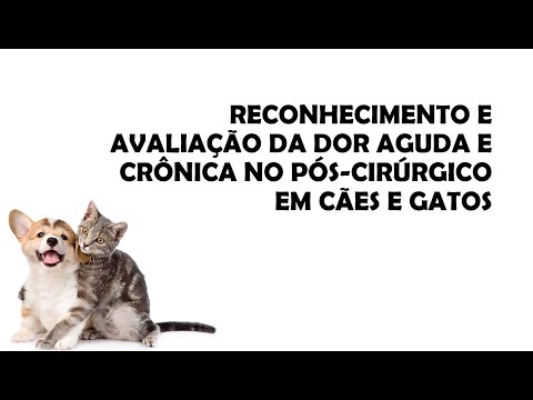 Vídeo: Dor (aguda, Crônica E Pós-operatória) Em Gatos