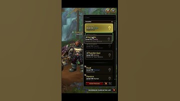 Switching realms in wow the war within