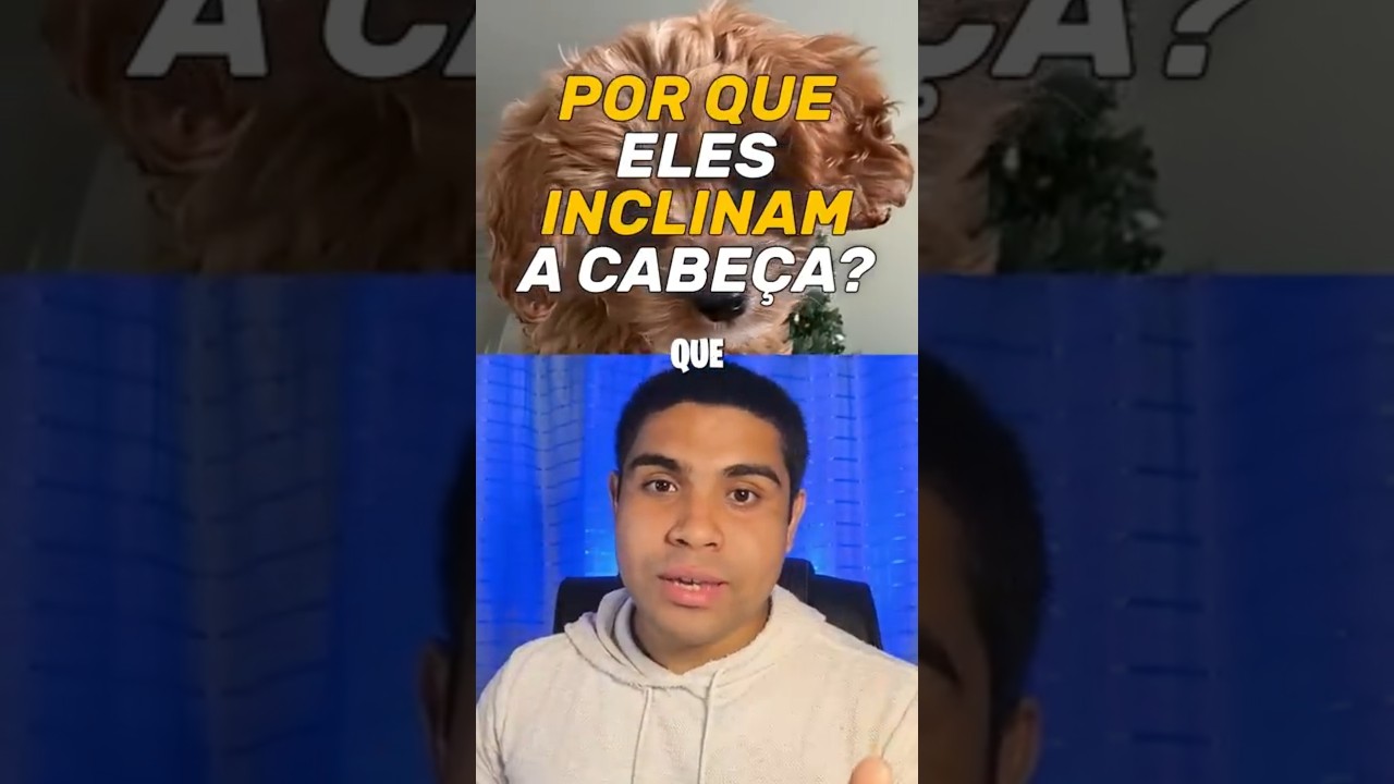 PORQUE ELES INCLINAM A CABEÇA?