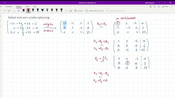 Stelsel met een unieke oplossing