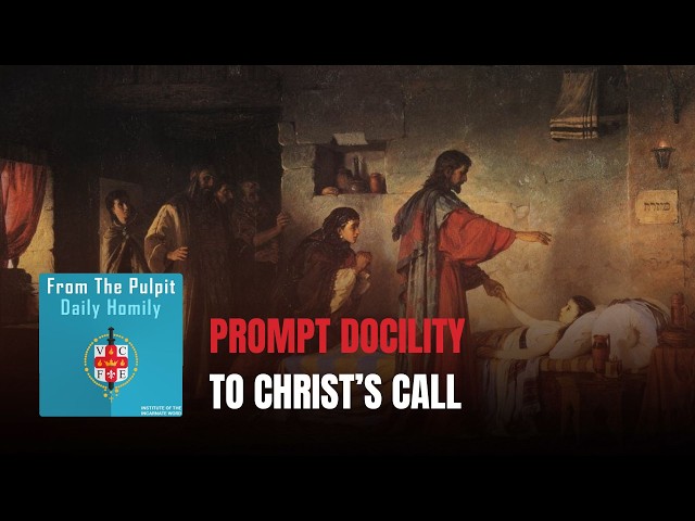 Home 2 Daily IVE Homilies, September 21st, 2026 - Prompt Docility to Christ’s Call