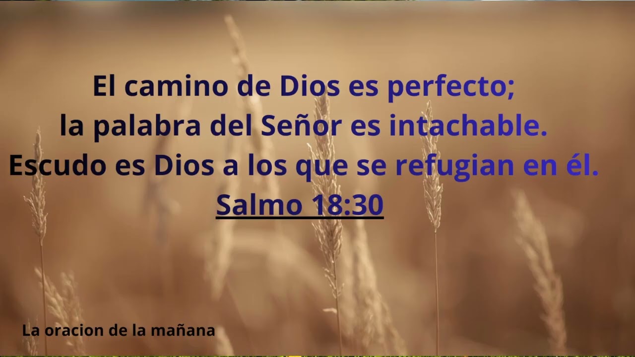 LA ORACIÓN DE LA MAÑANA