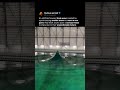Creating a Giant Freak Wave 🌊