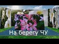 С. Трандафилов и Р. Бабаев -  На берегу Чу /COVER/