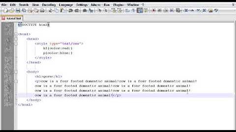 HTML Bangla Video tutorial part14