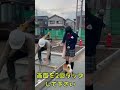 犬の散歩 #柴犬 #shorts