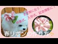 犬用春リボンの作り方✨まだ間に合う！卒業式✨入学式、記念撮影に最適✨