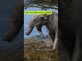Knochen von Urzeit-Elefant gefunden | BR24 #Shorts