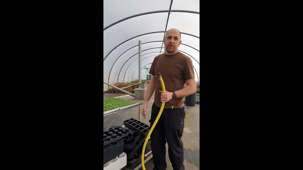 Top Tips No 5 Proper Watering