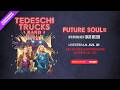 Tedeschi Trucks Band 7/31/2026 Red Rocks Amphitheatre, Morrison, CO