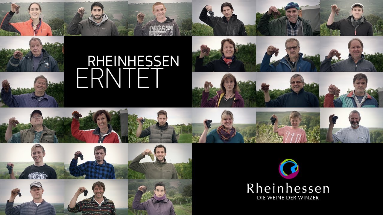 RHEINHESSEN ERNTET! [ADstore | winzerfilme.de] Rheinhessenwein e. V.