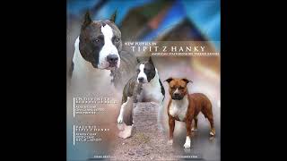 Malabar Tipit Z Hanky