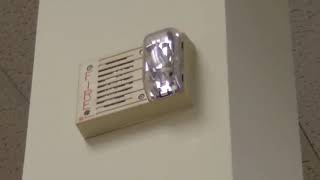 simplex 4903-9221 spotted.