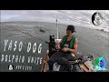 YASO DOG DOLPHIN UNITE