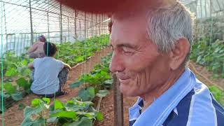 Çi̇ftci̇lere Bi̇ Dokundum Bi̇n Ah İşi̇tti̇m