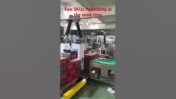 Cobot Palletizer Palletizng two SKU at the same time