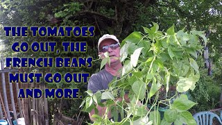 Tomatoes and French beans go out. by Wayne's Allotment 178 views 11 days ago 17 minutes