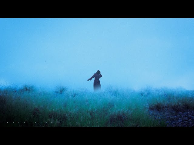diedlonely & bonjr - limerence (slowed + reverb)