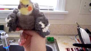 Jack taking a bath